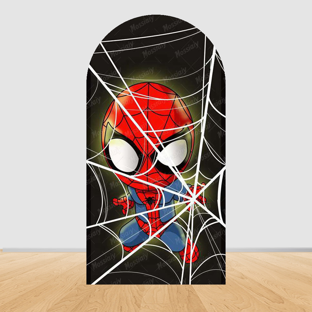 Spider-Man and Amazing Friends - Photography Of A Man 评论和价格