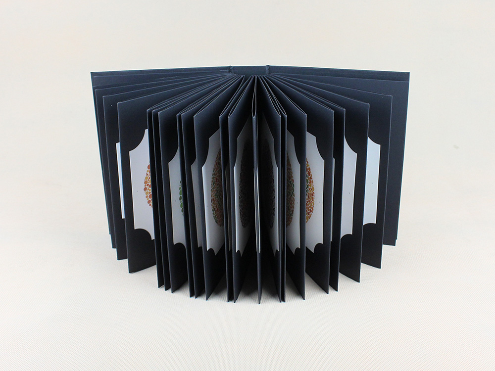 Ishihara Book 38 Plates Optome - Color Checker Card 评论和价格