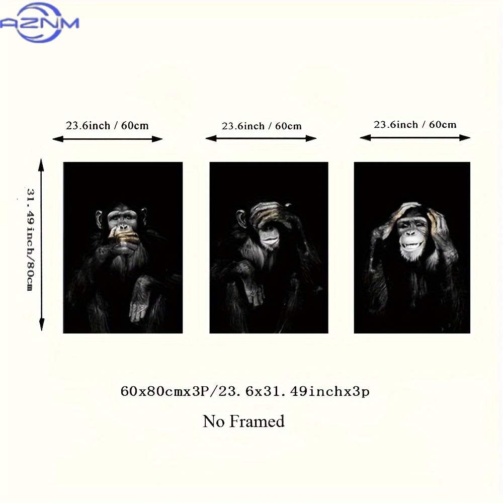 3pcs/set Big Size Unframed Ret - Photography Course 评论和价格